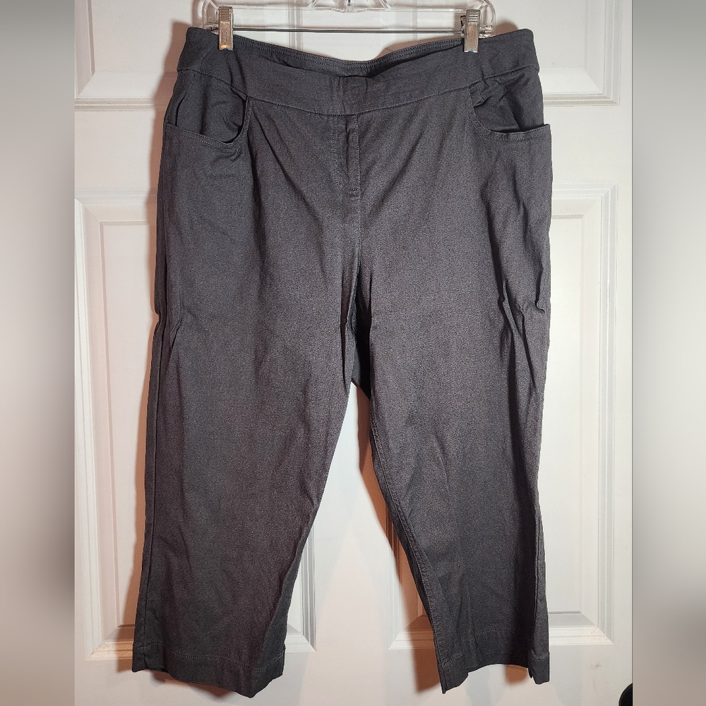 Slim-Sation Stretchy Gray Cropped Pants Tummy Control 18